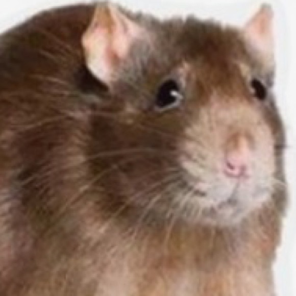 Meet your Posher, Matthew - Picture 1 of 1